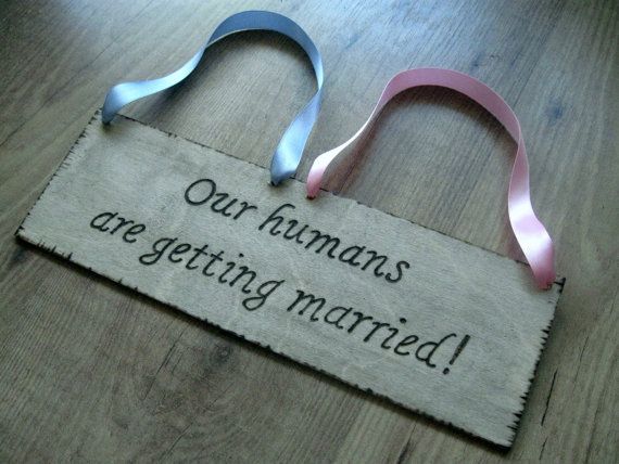 our human gettin married-matrimionio-animali-invitati-non-si-dice-piacere