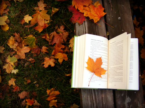 leggere-libro-autunno-finte-vacanze-non-si-dice-piacere-buone-maniere-galateo.