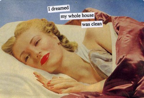 i dream-my-whole-house-was-clean-pulizie-pasqua-folletto-lavavetro-vg100-non-si-dice-piacere-bon-ton-buone-maniere