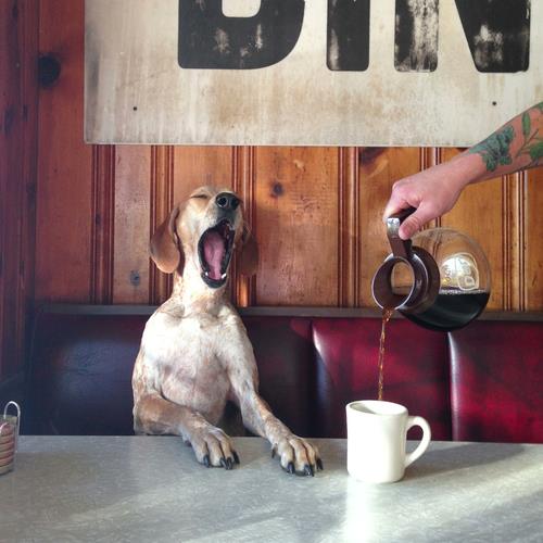 caffè-mattina-sveglia