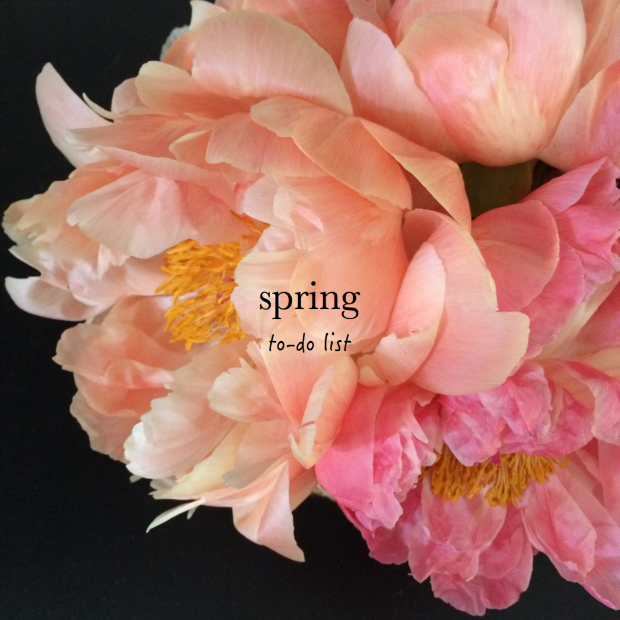 spring - to -do-list- cosa da fere primavera