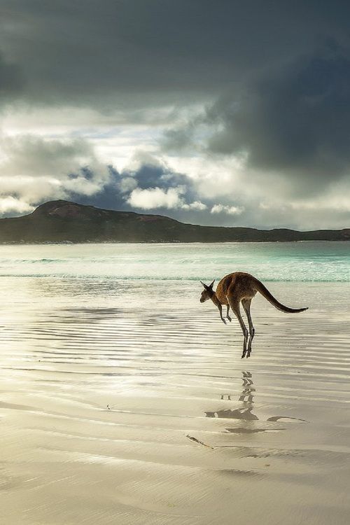 marsupio spiaggia uomo stile canguro