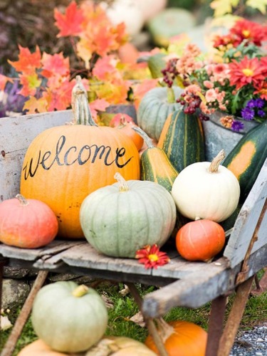 autunno-halloween-zucche-no-decorazione-welcome