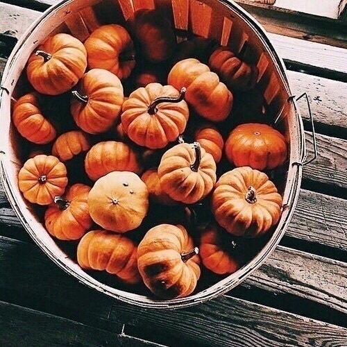 autunno-zucca-decorazione-ricette-benessere-idee-min