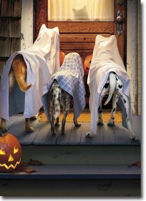 bambini- lavoretti-halloween-decorazioni - villaggio-spooky- non si dice piacere